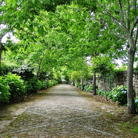 Casa Da Lage Bed & Breakfast Ponte de Lima Ngoại thất bức ảnh